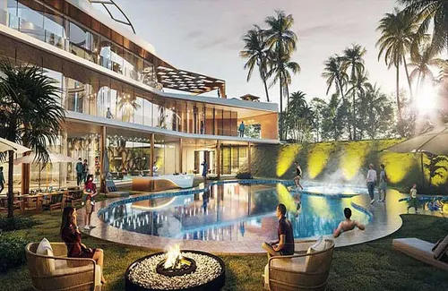 Lush courtyard garden